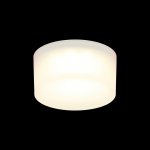 Светильник встраиваемый-накладной Aployt APL.0034.09.05 Lea