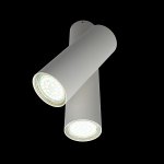 Светильник настенно-потолочный Aployt APL.006.02.02 Aksel