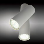 Светильник настенно-потолочный Aployt APL.006.02.02 Aksel