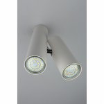 Светильник настенно-потолочный Aployt APL.006.02.02 Aksel