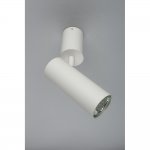 Светильник настенно-потолочный Aployt APL.007.02.01 Berenis