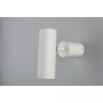 Светильник настенно-потолочный Aployt APL.007.02.01 Berenis