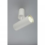 Светильник настенно-потолочный Aployt APL.007.02.01 Berenis