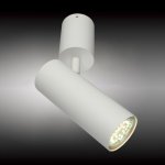 Светильник настенно-потолочный Aployt APL.007.02.01 Berenis