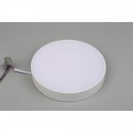 Светильник встраиваемый-накладной Aployt APL.0113.09.24 Evon