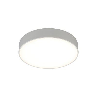 Светильник встраиваемый-накладной Aployt APL.0114.09.24 Evon