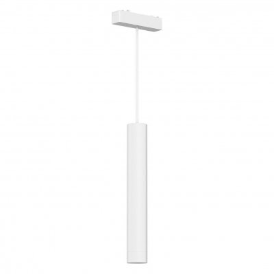 Светильник трековый Aployt APL.0126.10.06 Magnetic track 48