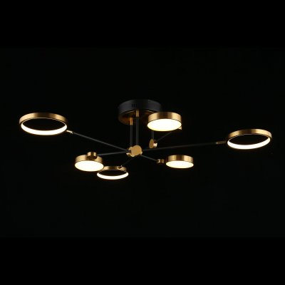 Люстра потолочная светодиодная Ines Aployt APL.043.07.50