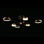 Люстра потолочная светодиодная Ines Aployt APL.043.07.50