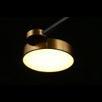 Люстра потолочная светодиодная Ines Aployt APL.043.07.65