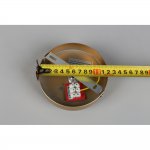 Люстра потолочная Aployt APL.608.07.06 Zhizel