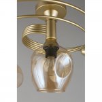 Люстра потолочная Aployt APL.611.07.06 Flor