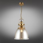 Светильник подвесной Darunia Aployt APL.629.16.01