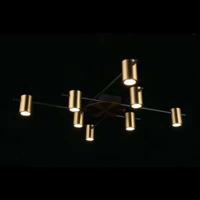 Люстра потолочная Elwisia Aployt APL.633.07.08