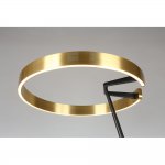 Торшер Leonn Aployt APL.653.05.30