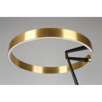 Торшер Leonn Aployt APL.653.05.30