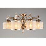 Люстра потолочная Aployt APL.720.07.08 Agata