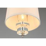 Светильник подвесной Aployt APL.729.06.01 Mona