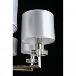 Люстра подвесная Aployt APL.752.03.08 Emelin