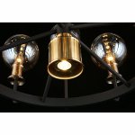 Люстра подвесная Aployt APL.902.03.11 Rozet