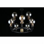 Люстра подвесная Aployt APL.902.03.11 Rozet