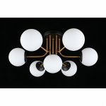 Люстра потолочная Aployt APL.906.17.07 Ewka