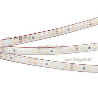 Лента RTW 2-5000P 12V White6000 (3528, 300 LED, LUX) Arlight 11502 Лента RTW 2-5000P 12V White6000 (3528, 300 LED, LUX) Arlight 11502