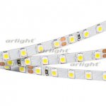 Лента RT 2-5000 24V Cool 8K 5mm 2x (3528, 600 LED, LUX) Arlight 015650(B)
