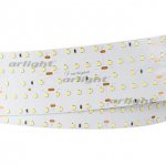 Лента S2-2500 24V White 5500K 59mm (2835, 420 LED/m, LUX) Arlight 21206