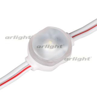 Модуль герметичный ARL-BEST2835-0.36W-12V White 160deg Arlight 21484 Модуль герметичный ARL-BEST2835-0.36W-12V White 160deg Arlight 21484