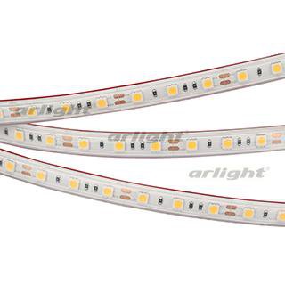 Лента RTW 2-5000PS 12V White6000 2x (5060, 300 LED, LUX) Arlight 22323
