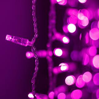 Светодиодная гирлянда ARD-CURTAIN-CLASSIC-2000x3000-CLEAR-760LED Pink (230V, 60W) (Ardecoled, IP65) Arlight 24862