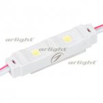 Модуль герметичный ARL-ORION-MINI-12V Cool (3528, 2 LED)