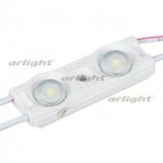 Модуль герметичный ARL-ORION-R10-12V Cool (2835, 2 LED)