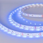 Лента RT 2-5000 12V Blue (3528, 300 LED, LUX) Arlight 10523