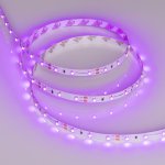 Лента RT 2-5000 12V Pink (3528, 300 LED, LUX) Arlight 13571