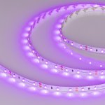 Лента RT 2-5000 12V Pink (3528, 300 LED, LUX) Arlight 13571