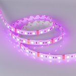 Лента RTW 2-5000SE 12V RGB 2x (5060, 300 LED, LUX) Arlight 14618