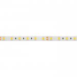 Лента RTW 2-5000SE 24V Red 2x (5060, 300 LED, LUX) Arlight 15597