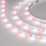 Лента RT6-5050-60 24V RGB-White 2x (300 LED) Arlight 18325
