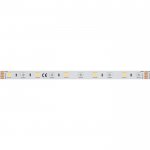 Лента RT6-5050-60 24V RGB-Day 2x (300LED) Arlight 18326