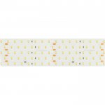 Лента RT 2-2500 24V Day4000 5x2 (2835, 875 LED, LUX) (цена за 1м.)