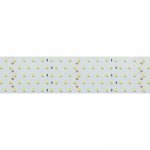 Лента RT 2-2500 24V Cool 8K 5x2 (2835, 875 LED, LUX) Arlight 19083