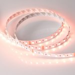 Лента RT 2-5000 24V RGBW-One Warm 2x (5060, 300 LED, LUX) Arlight 19152