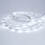Лента RT 2-5000 24V Cool 8K 0.5x (3528, 150 LED, LUX) Arlight 19916