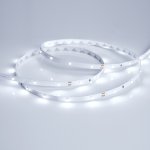 Лента RT 2-5000 24V Cool 8K 0.5x (3528, 150 LED, LUX) Arlight 19916
