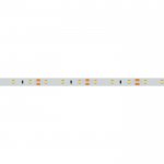 Лента RTW 2-5000SE 12V Cool (2835, 300 LED, PRO) Arlight 20516