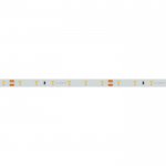 Лента RTW 2-5000SE 24V Cool (2835, 300 LED, PRO) Arlight 20521