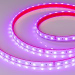 Лента RTW 2-5000PS 24V RGB 2x (5060, 300 LED, LUX) Arlight 21400