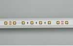 Лента RT 2-5000 24V Warm3000 2x (5060, 300 LED, CRI98) Arlight 21421